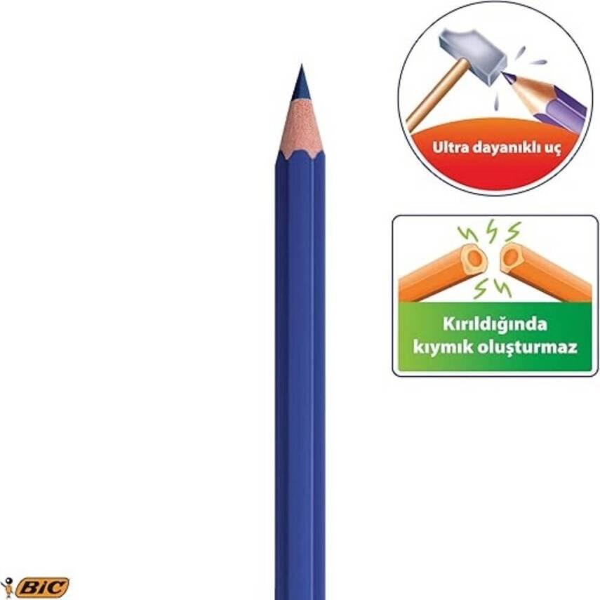 BIC Evolation Kuru Boya Kalem Seti, 12+1 Renk, Metal Tüp, Canlı Renk - 2