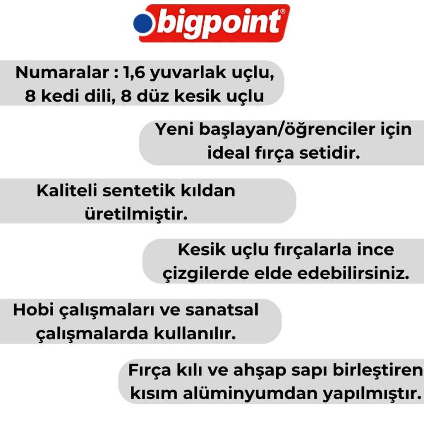 Bigpoint 111 & 210 Serisi Sentetik Kıl Fırça Seti, 4’lü, No:1,6,8,10 - 4