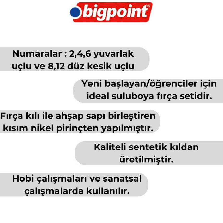Bigpoint 985 Serisi Sentetik Fırça Seti, 5’li, No:2,4,6,8,12 - 2