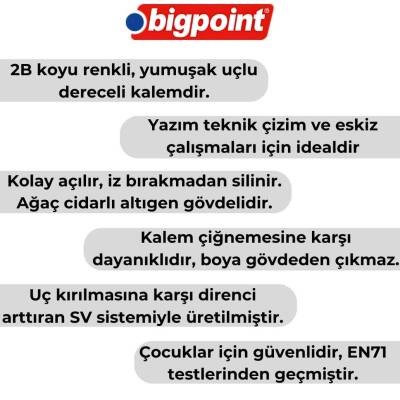 Bigpoint Dereceli Kalem 2B, Teknik Çizim ve Eskiz İçin, Altıgen Gövde - 3