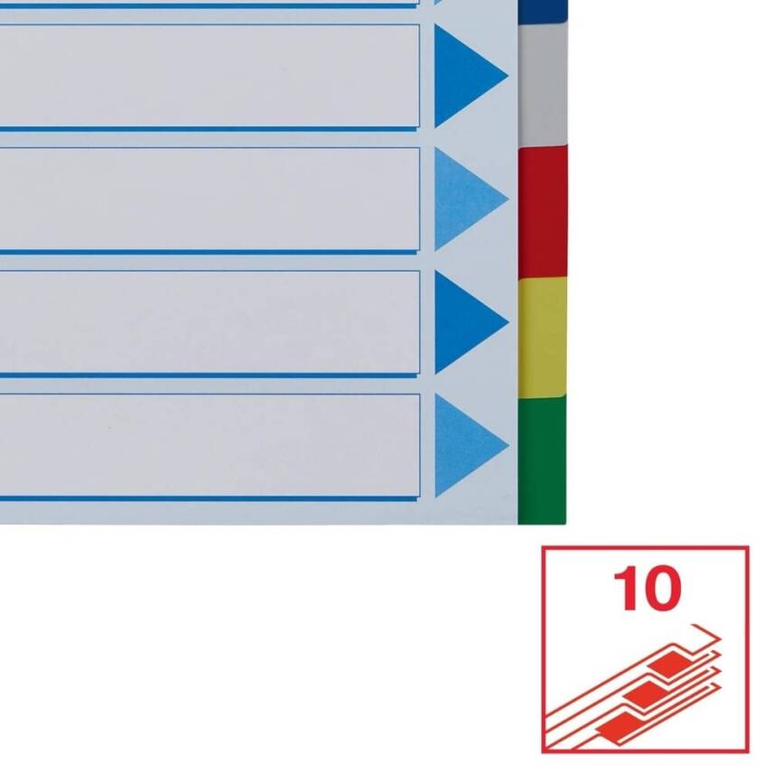 Esselte A4 Separatör, 10 Renkli, 115 Mikron PP, Düzenli Arşivleme İçin - 2