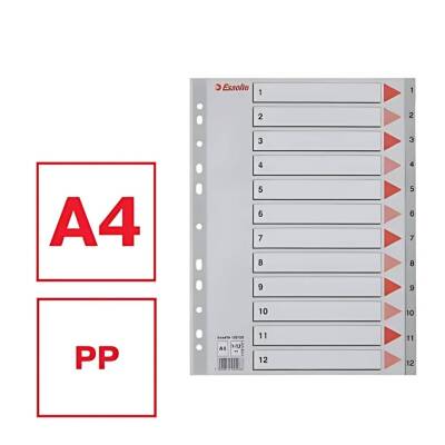 Esselte A4 Separatör, 1-12 Rakamlı, 115 Mikron PP, Düzenli Arşivleme - 3