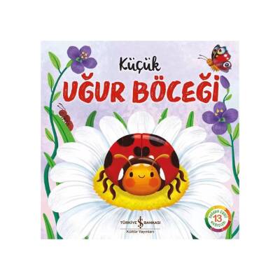 Küçük Uğur Böceği, Doğanın Eşsiz Hikâyeleri 13, Okul Öncesi Kitap - Türkiye İş Bankası Kültür Yayınları